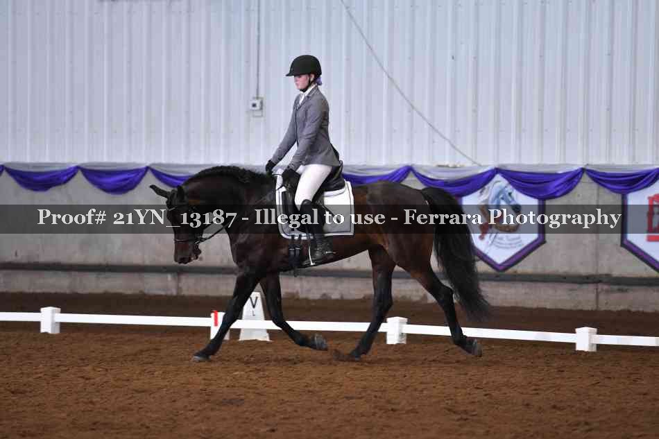 Proof 21YN_13187