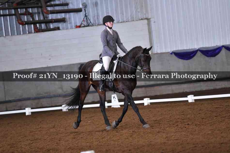 Proof 21YN_13190