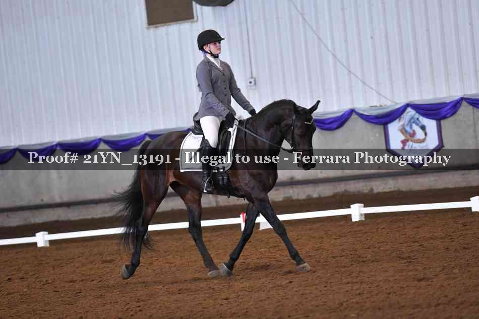 Proof 21YN_13191