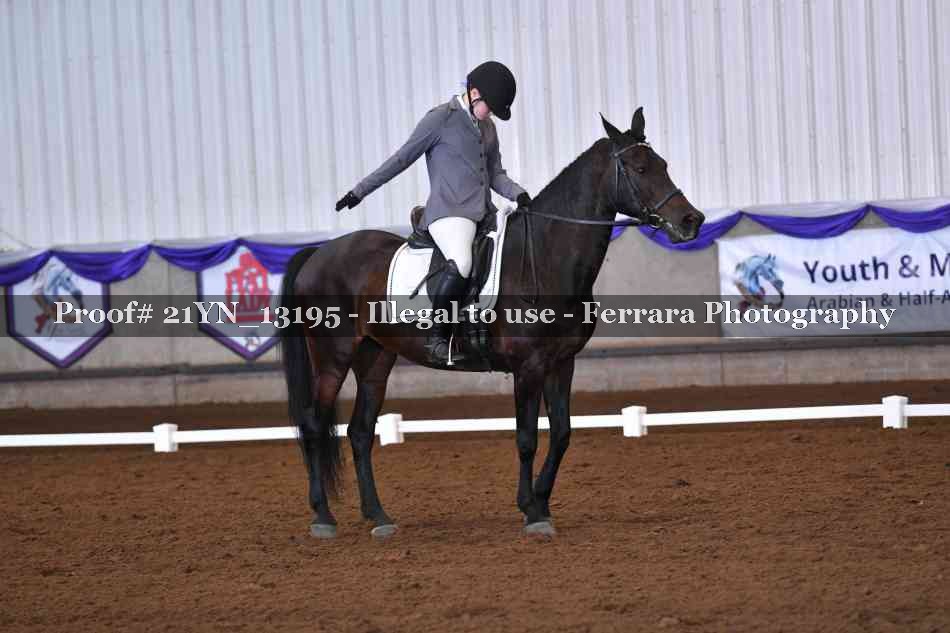 Proof 21YN_13195