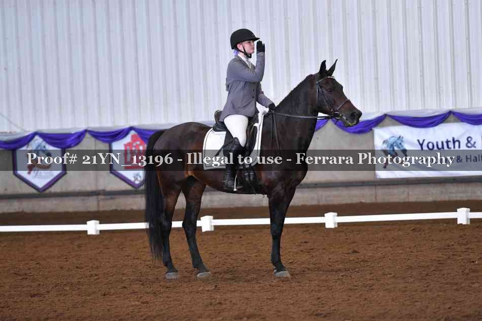 Proof 21YN_13196