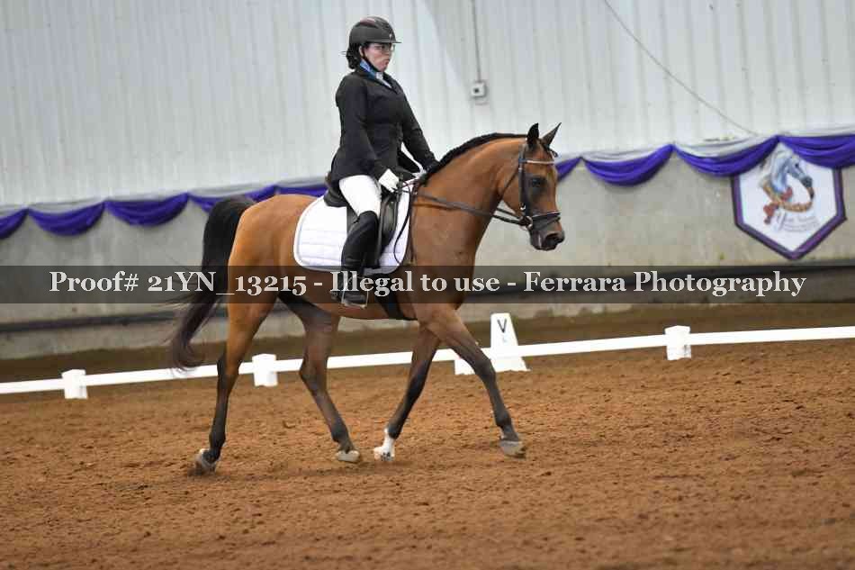 Proof 21YN_13215