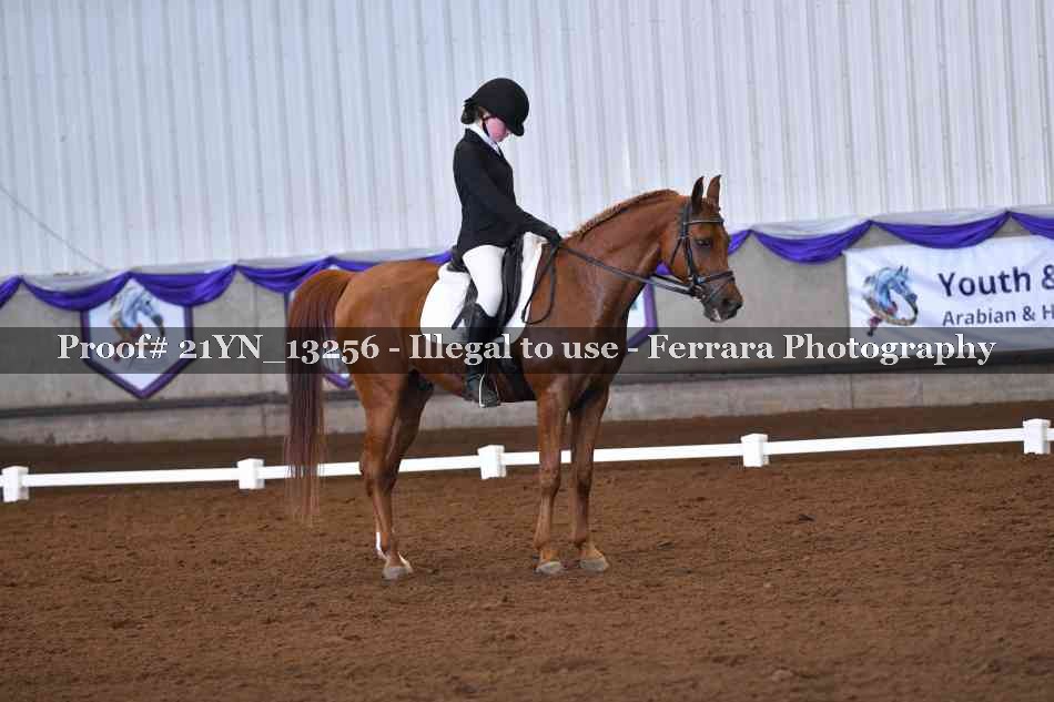 Proof 21YN_13256