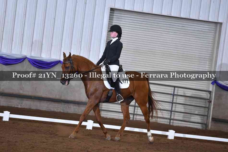 Proof 21YN_13260