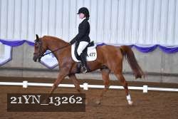 21YN_13262 proof