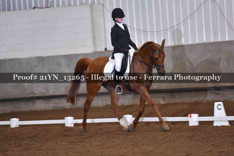 Proof 21YN_13265