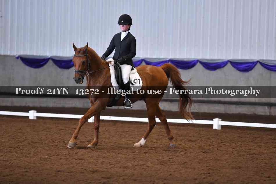 Proof 21YN_13272