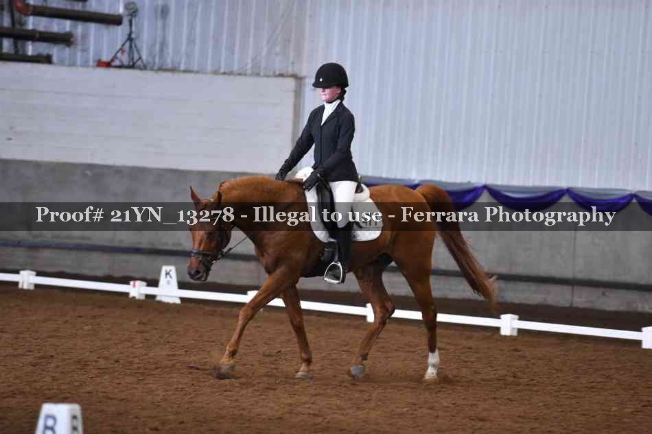 Proof 21YN_13278