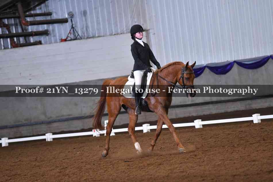 Proof 21YN_13279