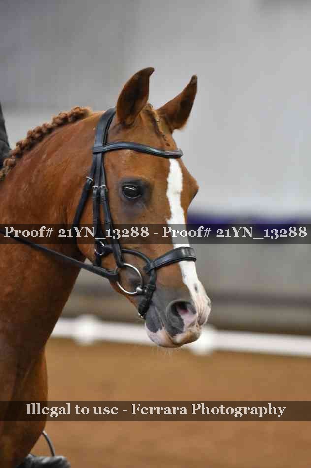 Proof 21YN_13288