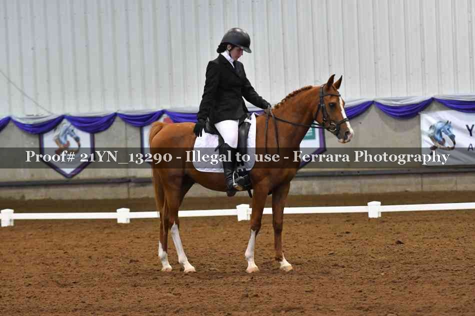 Proof 21YN_13290