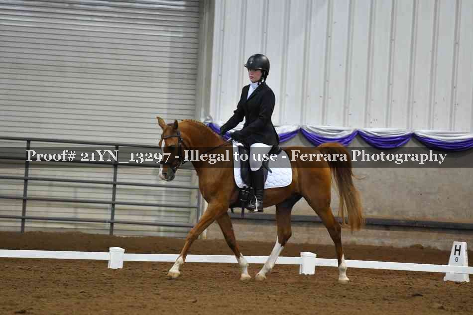 Proof 21YN_13297