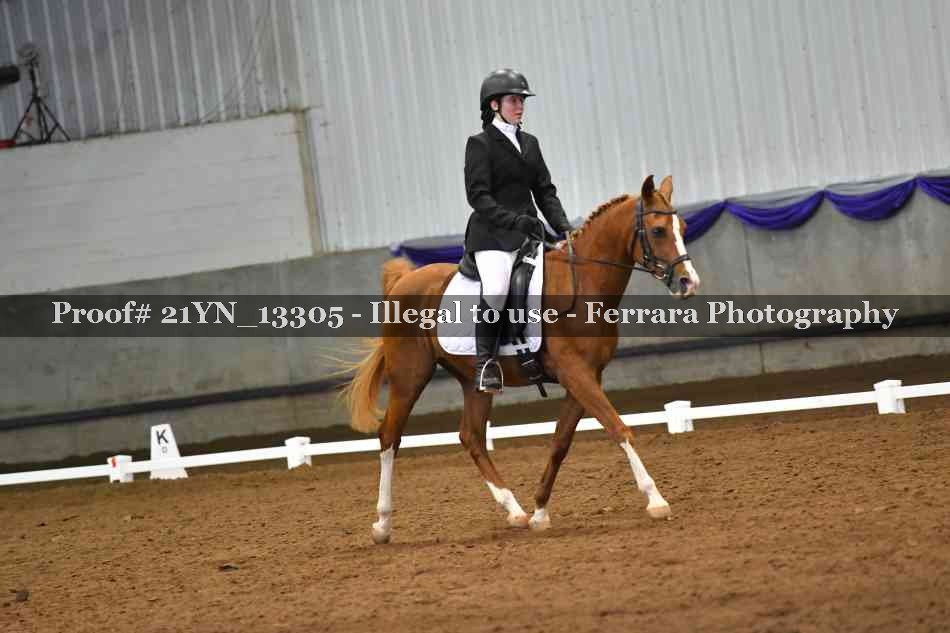 Proof 21YN_13305