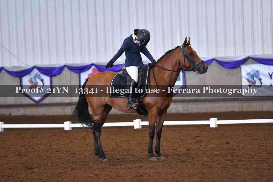 Proof 21YN_13341