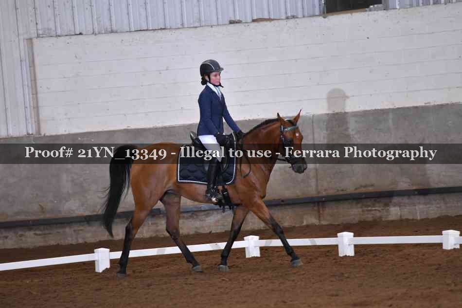 Proof 21YN_13349