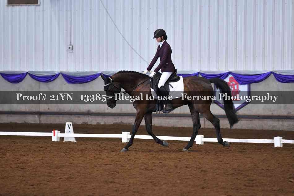 Proof 21YN_13385