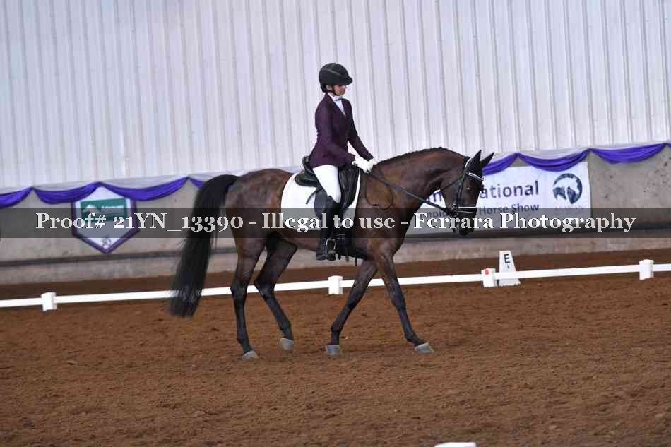 Proof 21YN_13390