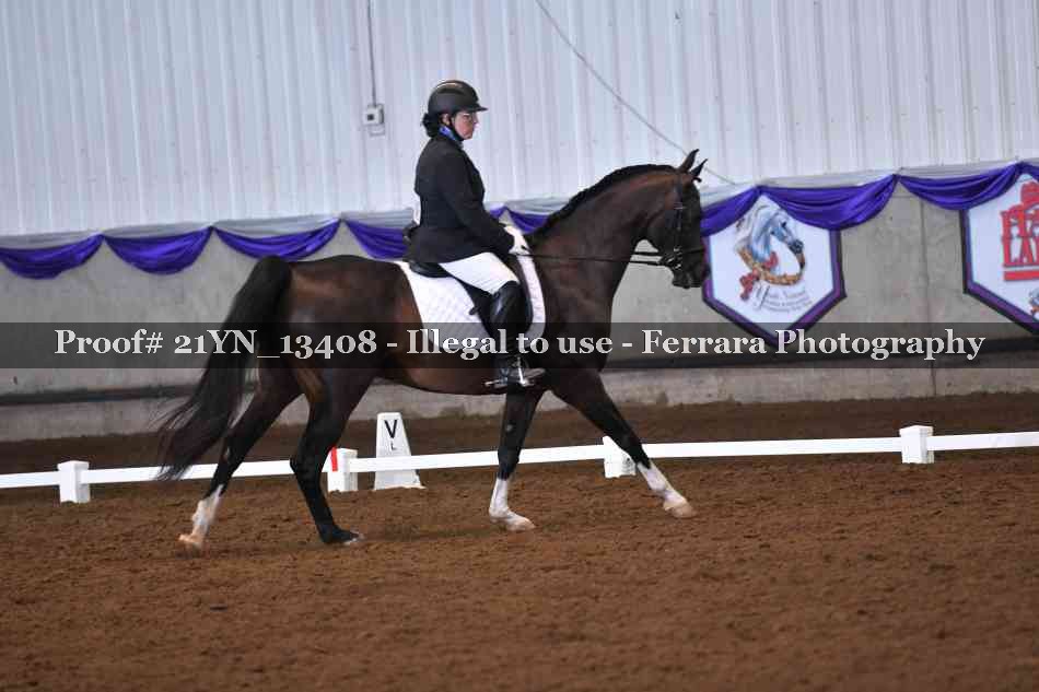 Proof 21YN_13408