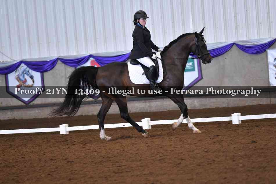 Proof 21YN_13409
