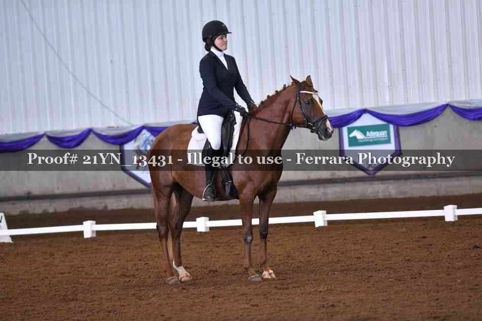 Proof 21YN_13431