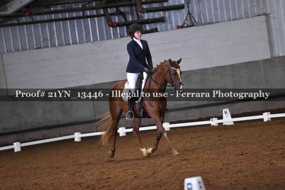 Proof 21YN_13446