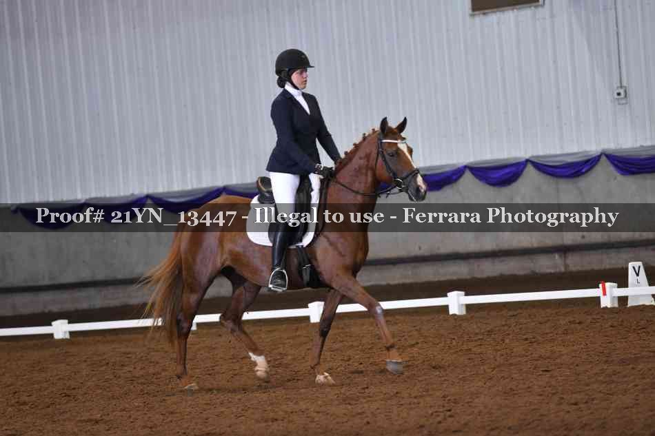 Proof 21YN_13447