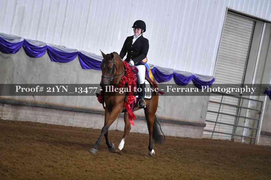 Proof 21YN_13477
