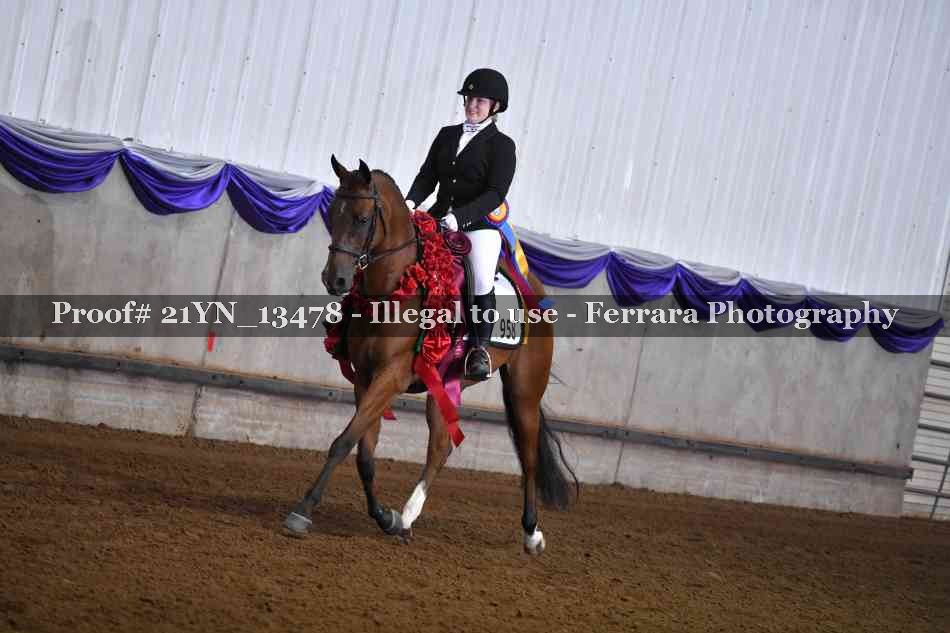 Proof 21YN_13478