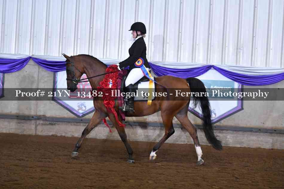 Proof 21YN_13482