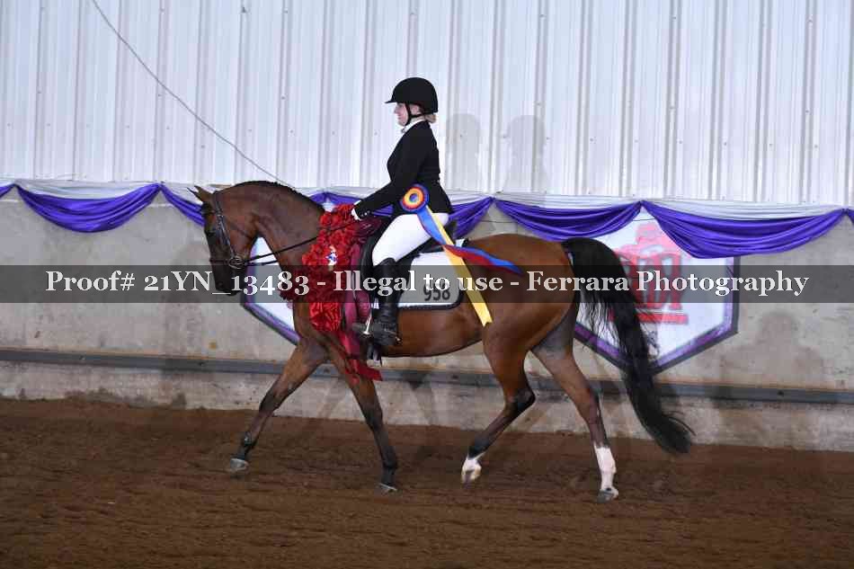Proof 21YN_13483