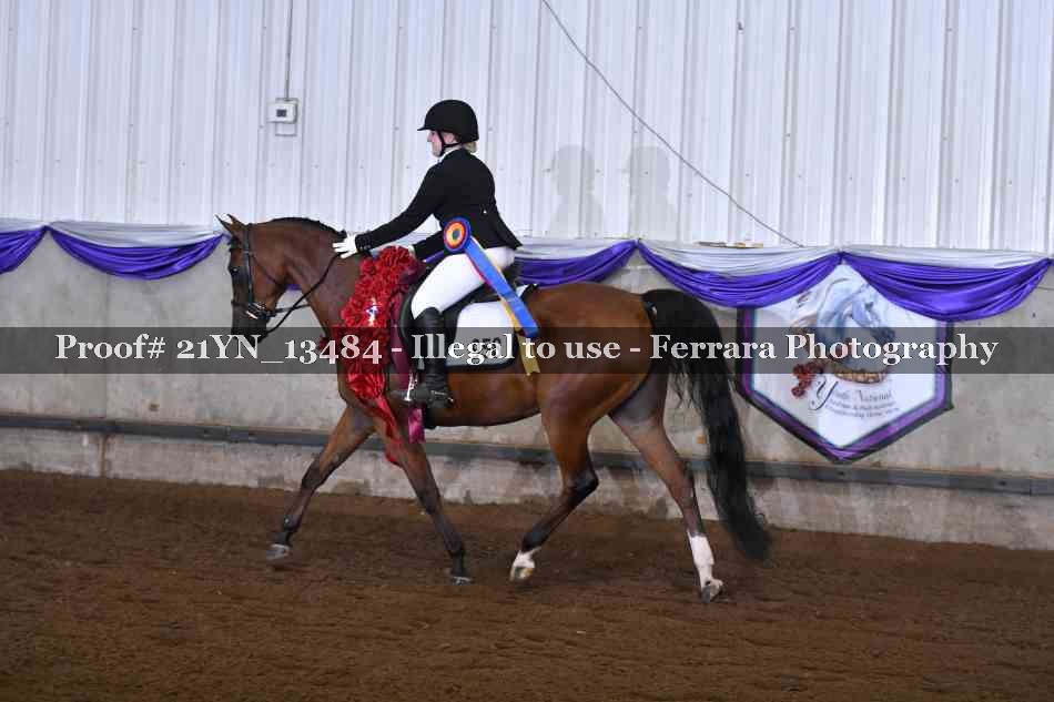 Proof 21YN_13484