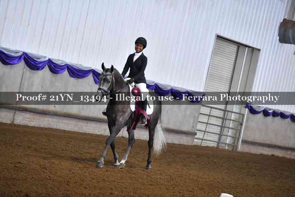 Proof 21YN_13494