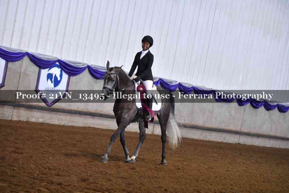 Proof 21YN_13495