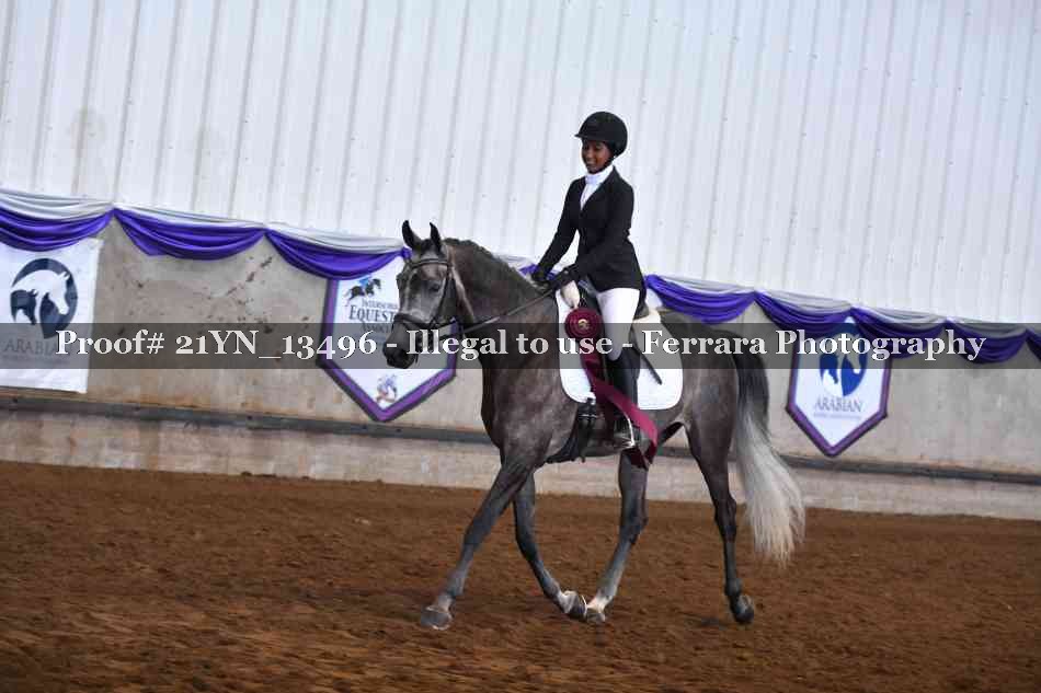 Proof 21YN_13496