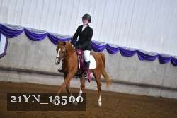 21YN_13500 proof