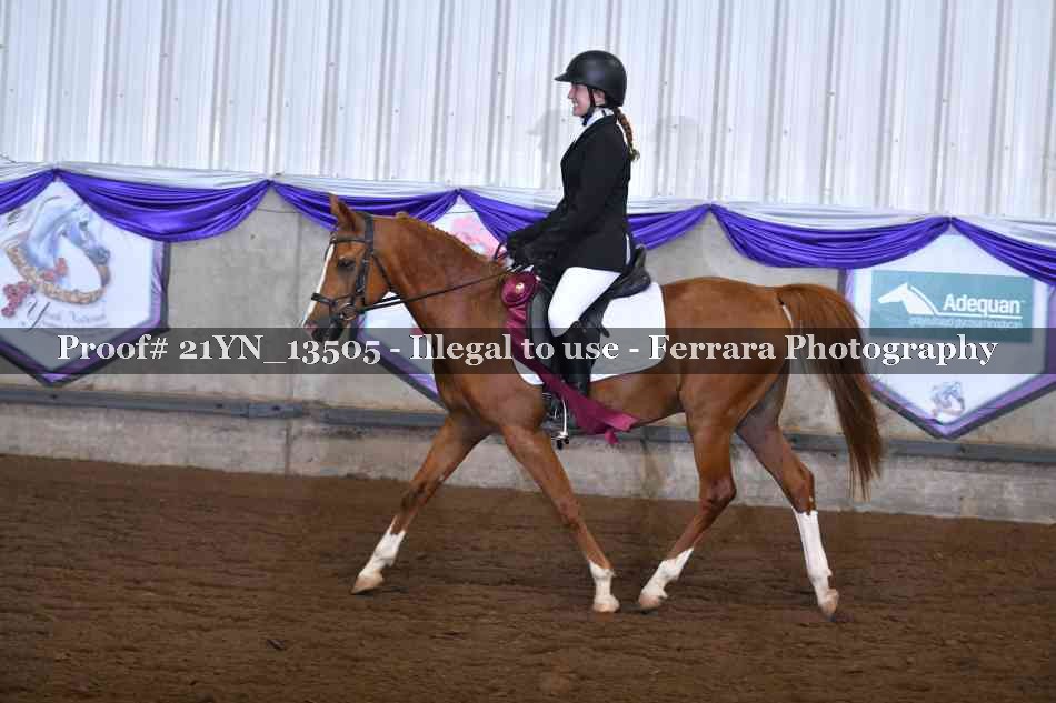 Proof 21YN_13505