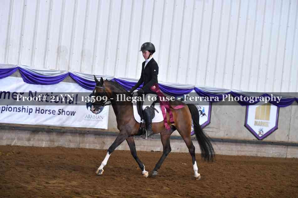Proof 21YN_13509