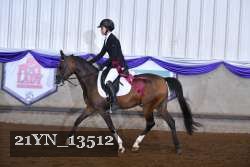21YN_13512 proof