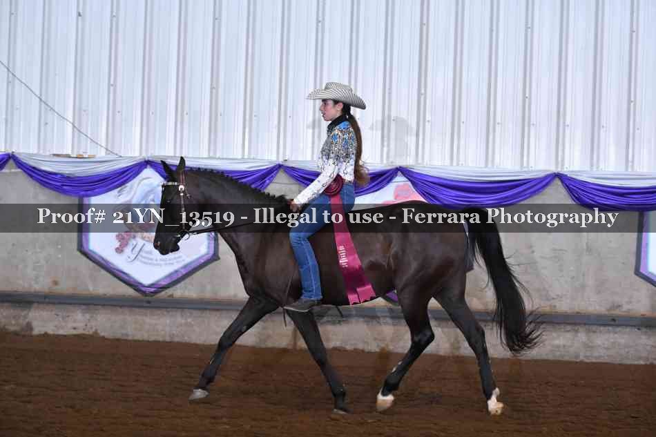 Proof 21YN_13519