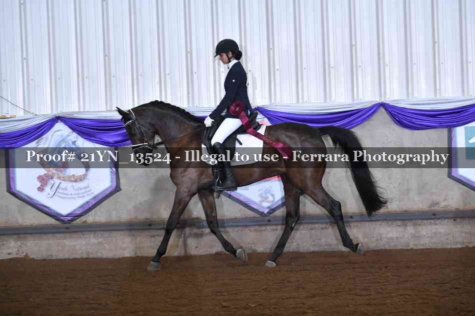 Proof 21YN_13524