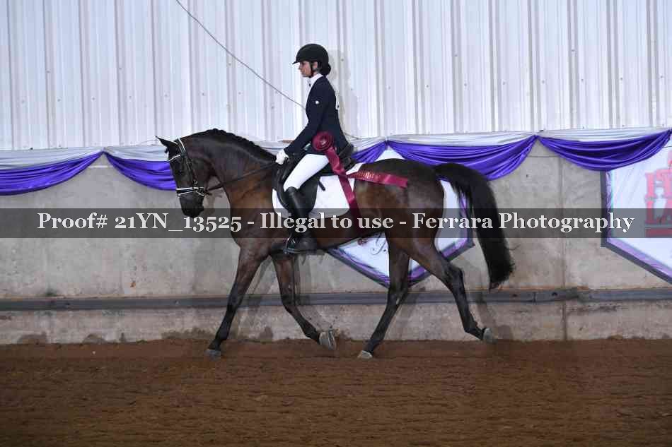 Proof 21YN_13525