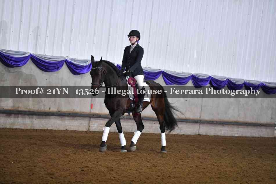 Proof 21YN_13526