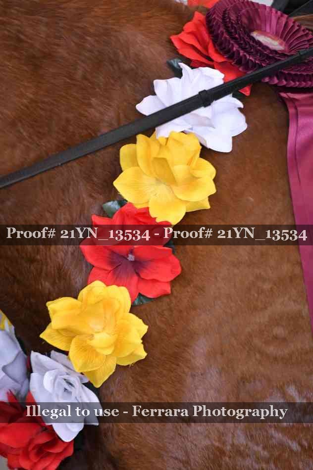 Proof 21YN_13534