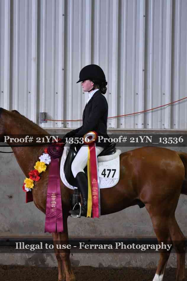 Proof 21YN_13536