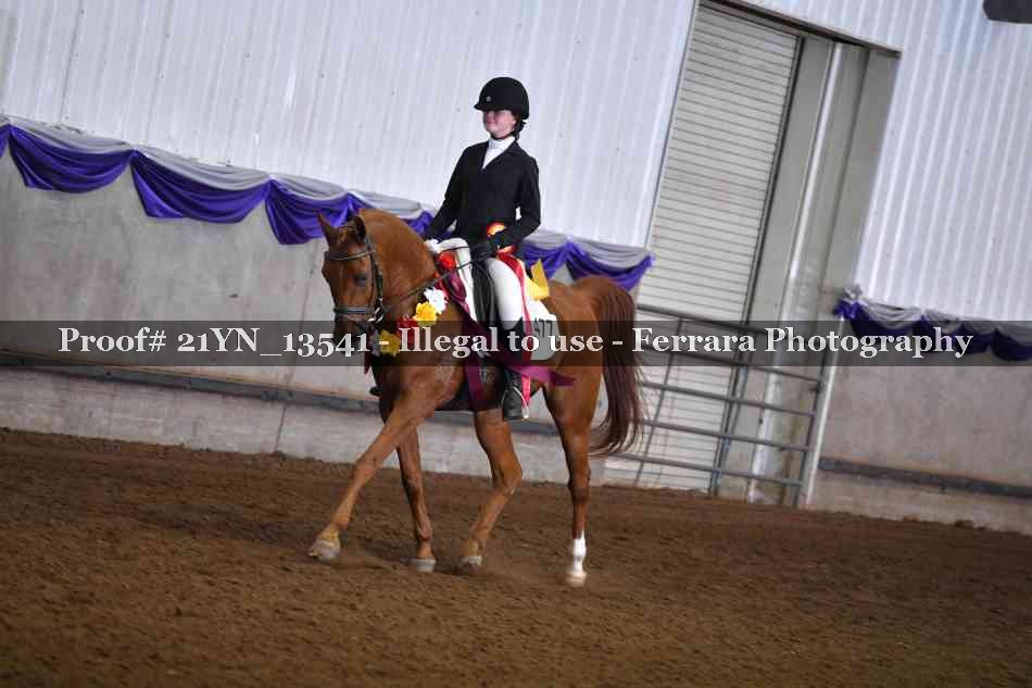 Proof 21YN_13541