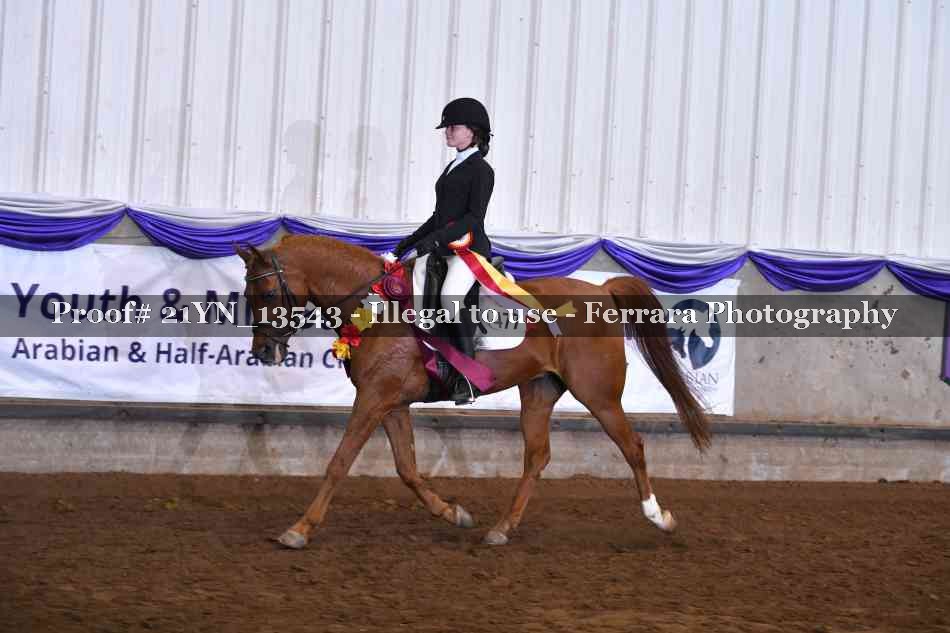 Proof 21YN_13543