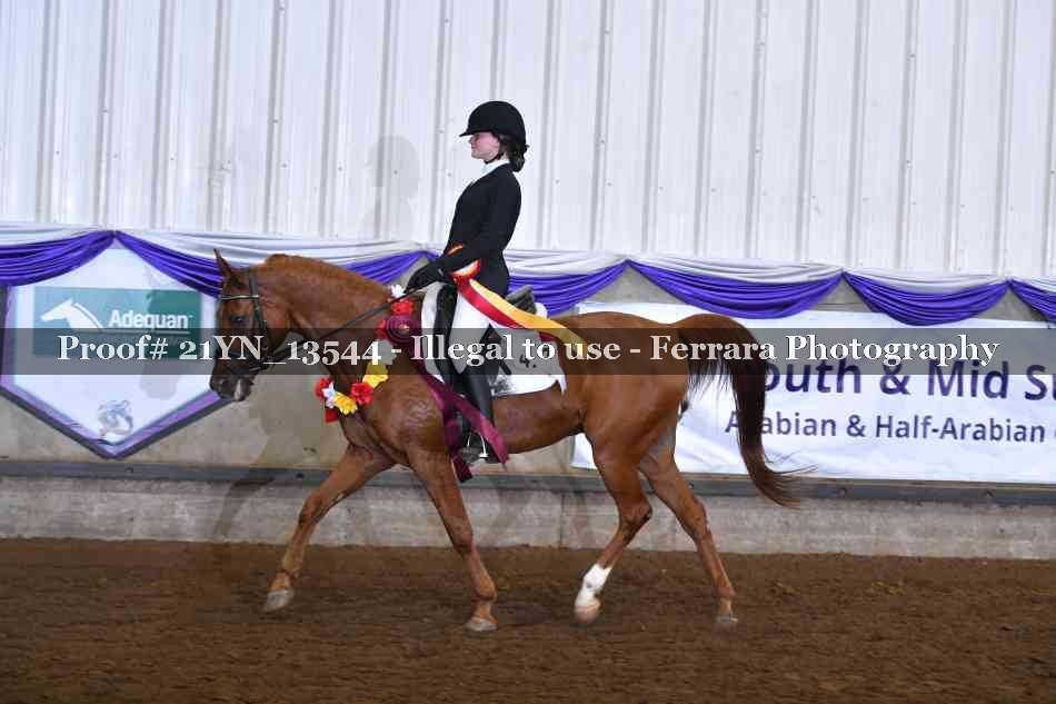 Proof 21YN_13544