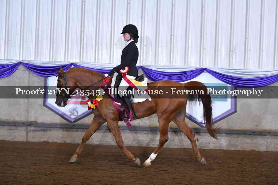 Proof 21YN_13545