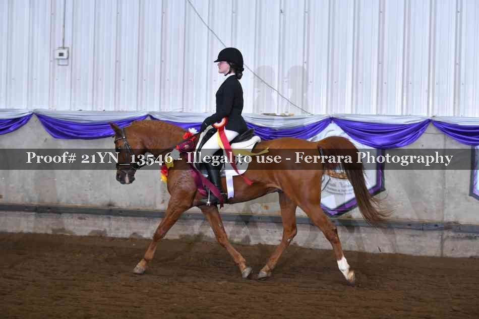 Proof 21YN_13546