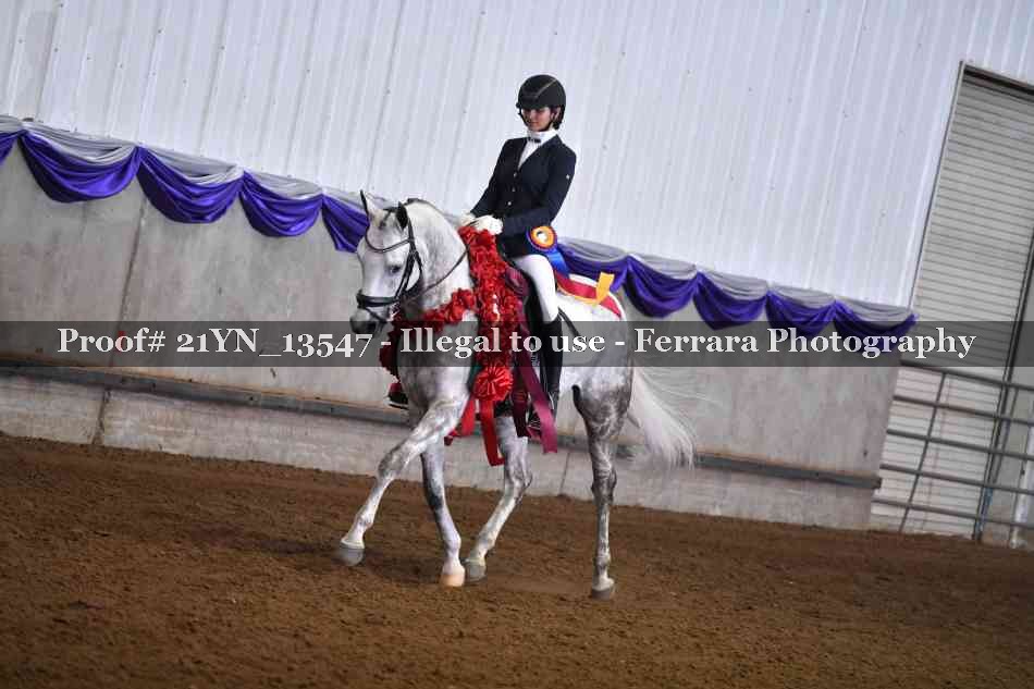 Proof 21YN_13547
